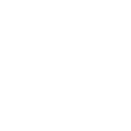 ins